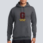 Adult Hoodie - Goynes Thumbnail