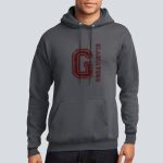 Adult Hoodie - Goynes Thumbnail